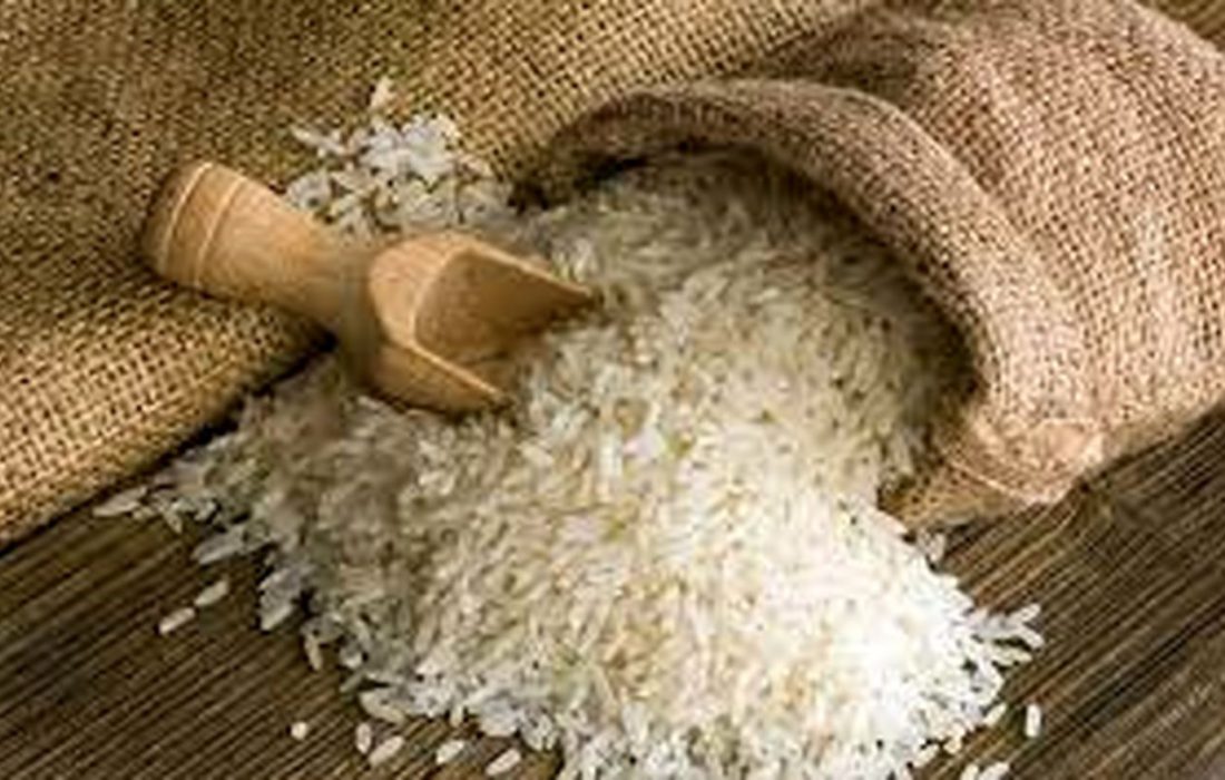 برنج ایرانی ارزان شد 